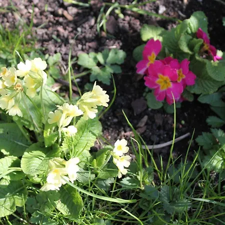 Alte Post Oberdigisheim