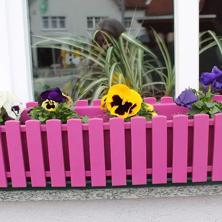 Apartment Alte Post *