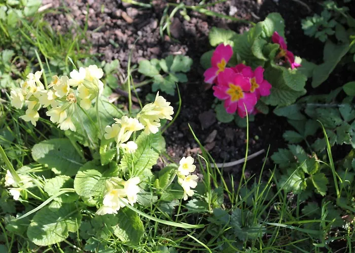 Alte Post Oberdigisheim