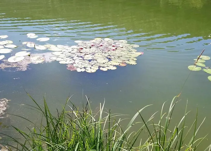 Alte Post Lejlighed *